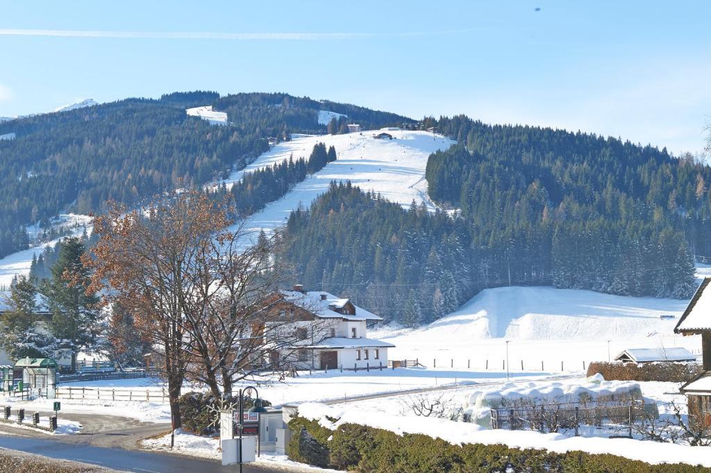 Alpine Active Weitgasser Флахау Екстер'єр фото